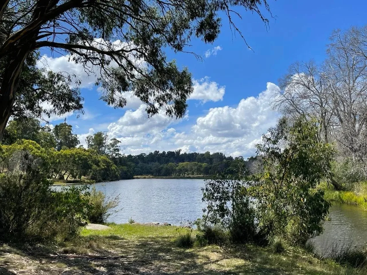 Lake surrounded by trees and grass under blue sky